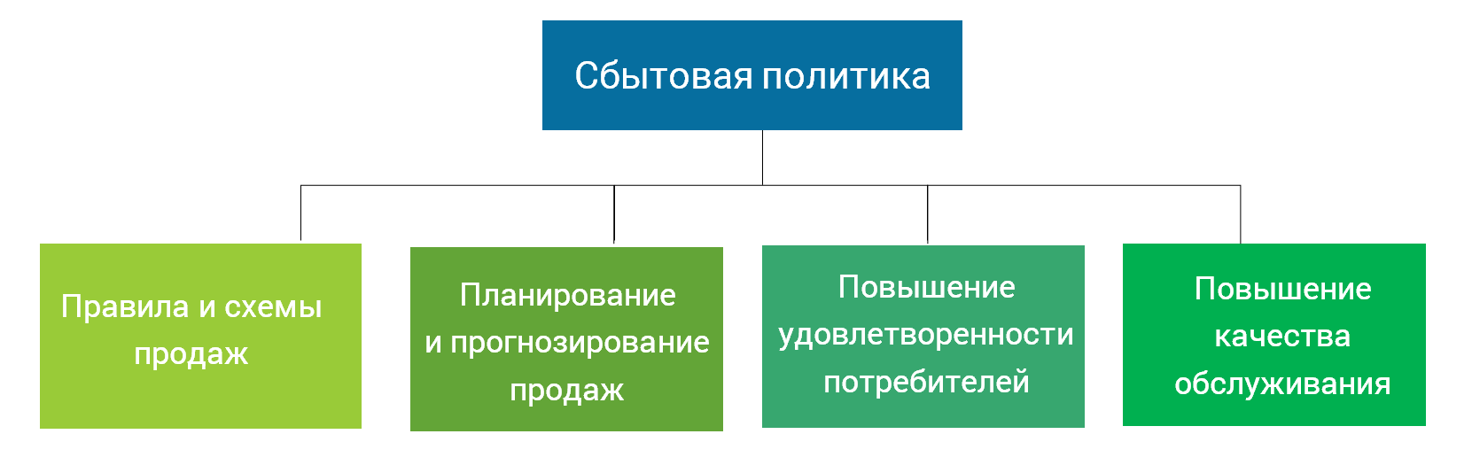 Проект торгово сбытовой политики